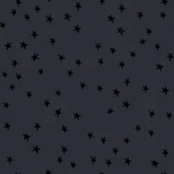 Ruby Star Society - Starry 2025 - Starry Charcoal