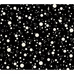 Ruby Star Society - Achroma - Drips Black