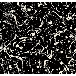 Ruby Star Society - Achroma - Fling Black