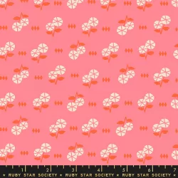 Ruby Star Society - First Light - Fruit Flowers Fat Quarter Bundle