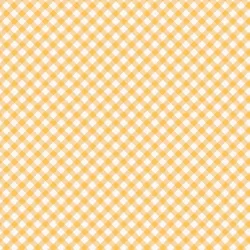 Ruby Star Society - Food Group - Painted Gingham Butternut