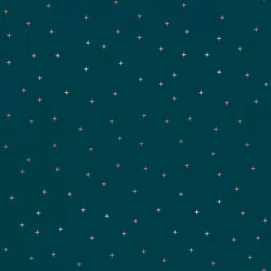 Ruby Star Society - Curio - Flicker Galaxy Metallic