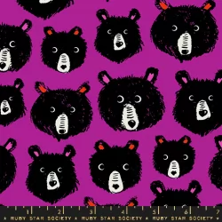 Ruby Star Society - Teddy And The Bears - Teddy And The Bears Cheshire