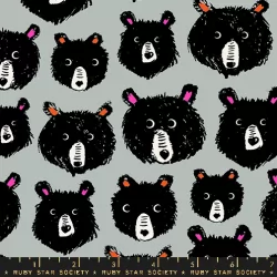 Ruby Star Society - Teddy And The Bears - Teddy And The Bears Oyster