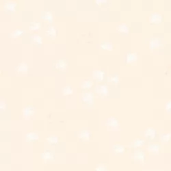 Ruby Star Society - Sunbeam - In Flight Natural