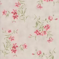 Rue 1800 - Nicolette Dove