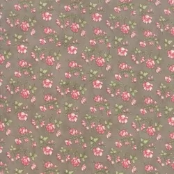 Rue 1800 - Lorainne Cobblestone