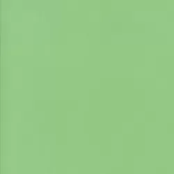 Bella Solid - Green Apple
