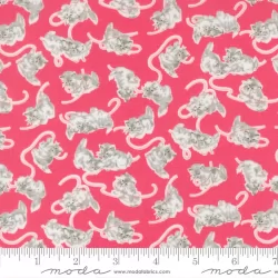 A Cat Named Stitch - Georgie Rosie - PRE-ORDER DUE MAY