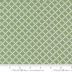 Dwell - Nine Patch Grass