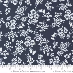 Dwell - Songbird Navy