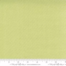 One Fine Day - Scrumptious Stripe Green