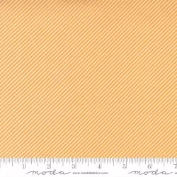 One Fine Day - Scrumptious Stripe Orange