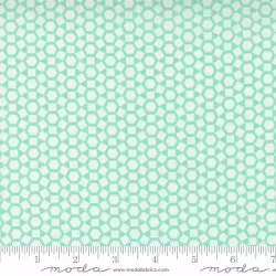 One Fine Day - Shine Aqua