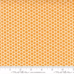 One Fine Day - Shine Orange