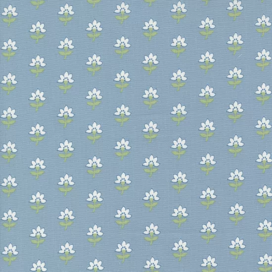 Shoreline - Coastal Floral Light Blue