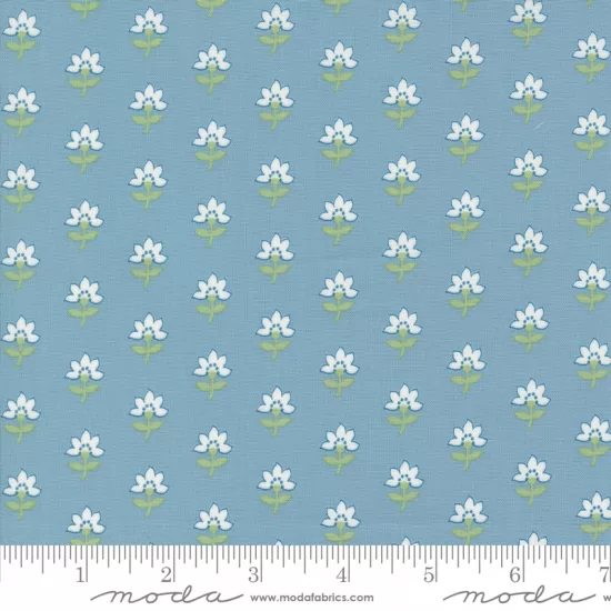 Shoreline - Coastal Floral Light Blue