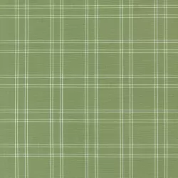 Shoreline - Plaid Green