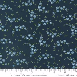 Shoreline - Summer Navy