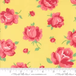 Summertime - Rosie Sunshine