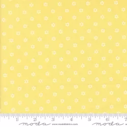 Summertime - Sunshine Sunshine