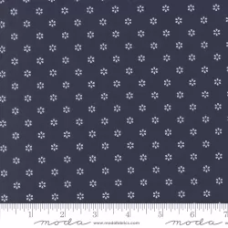 Summertime - Sunshine Navy