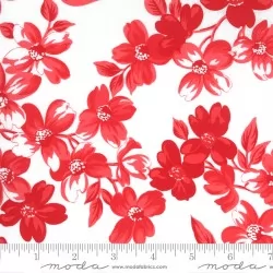 Sunday Stroll - Full Bloom White Red