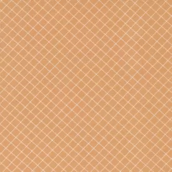 Sunnyside - Graph Apricot