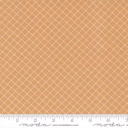Sunnyside - Graph Apricot