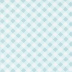 The Shores - Gingham Sea Glass - 1 Cut FQ