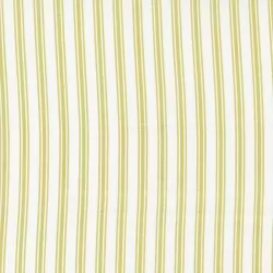 The Shores - Stripe Sprout
