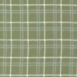 Christmas Eve - Yuletide Plaid Pine