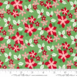 Kitty Christmas - Poinsettia Holly