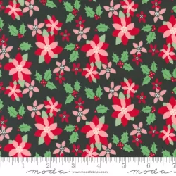 Kitty Christmas - Poinsettia Coal