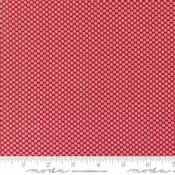 Kitty Christmas - Polka Dots Berry