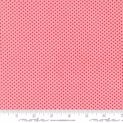 Kitty Christmas - Polka Dots Cheeky