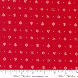 Kitty Christmas - Flurry Berry