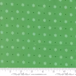Kitty Christmas - Flurry Holly