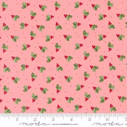 Once Upon A Christmas - Merry Berries Princess