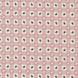 Owl-O-Ween - Spider Gingham Spell
