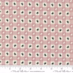 Owl-O-Ween - Spider Gingham Spell