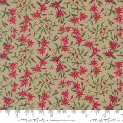 Silent Night - Star Of Bethlehem Sage - PRE-ORDER DUE JULY
