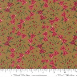 Silent Night - Star Of Bethlehem North Sage - PRE-ORDER DUE JULY