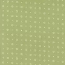 Abloom - X O Dot Cucumber
