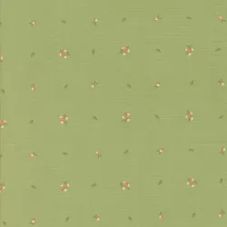 Abloom - Little Sprout Cucumber