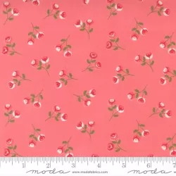 Beautiful Day - Rosebuds Tea Rose