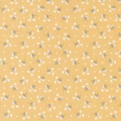Buttercup and Slate - Tulip Goldenrod