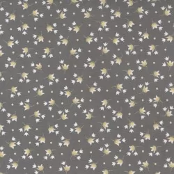 Buttercup and Slate - Tulip Slate