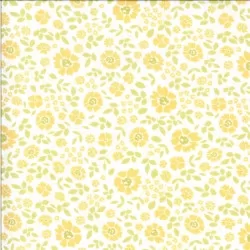 Canning Day - Plentiful Sunny