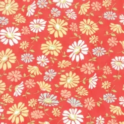 Catalina - Daisy Lollipop